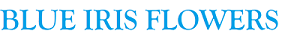 Blue Iris Flowers